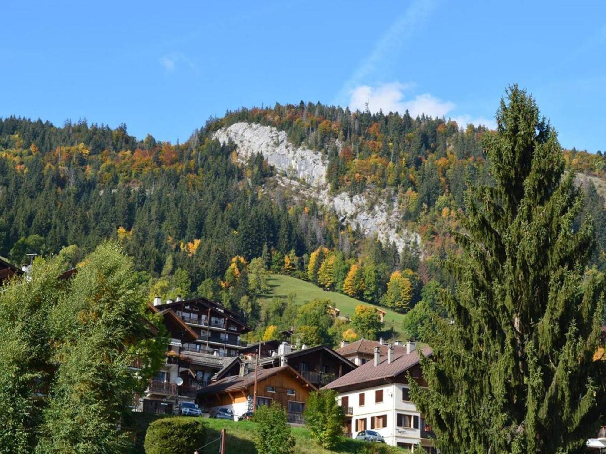 Studio Cosy 4 Pers, Centre Village, Parking, Ascenseur, Balcon - Le Grand-Bornand - Fr-1-241-185 エクステリア 写真